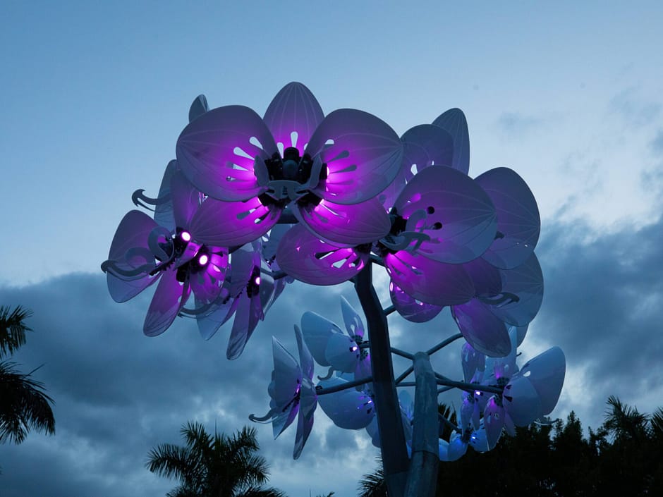 Floral sculpture lit up with purple lighting